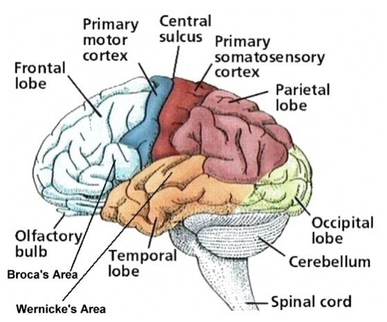 MEMORIES AND CONNECTIONS